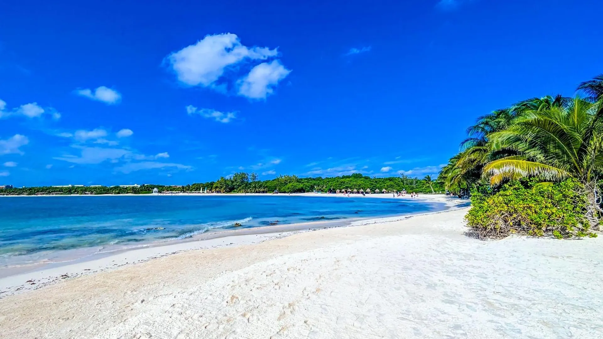 A5 Beachside Bliss Family Hawaiian Themed Quad Studio Kitchen Ac Playa del Carmen Apartment