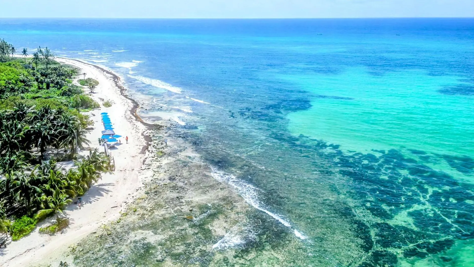 A5 Beachside Bliss Family Hawaiian Themed Quad Studio Kitchen Ac Playa del Carmen 0*,  Meksyk